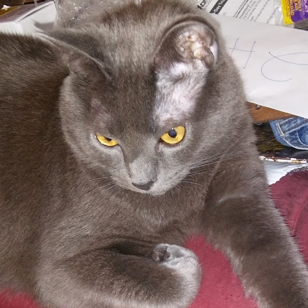 Meet your Posher, X0